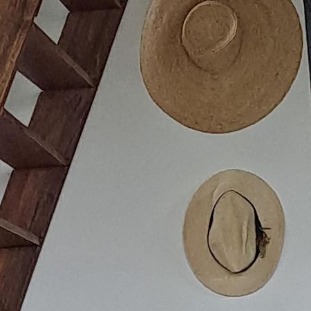 Farida Boekestijn Villa Jagtlust Buitenkant foto